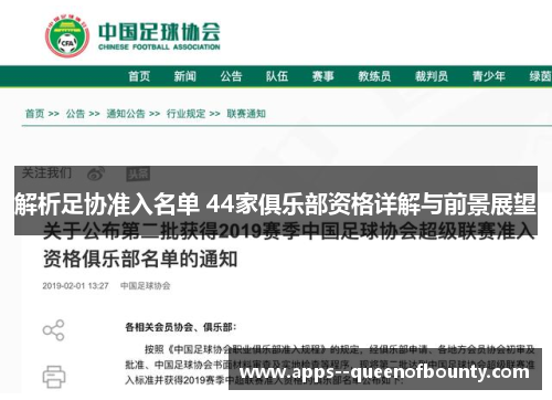 解析足协准入名单 44家俱乐部资格详解与前景展望