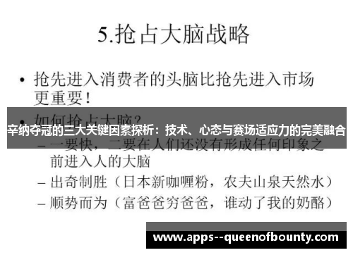 辛纳夺冠的三大关键因素探析：技术、心态与赛场适应力的完美融合