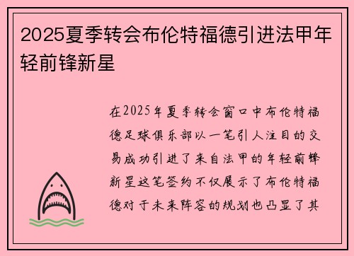 2025夏季转会布伦特福德引进法甲年轻前锋新星